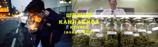 гидра Верея