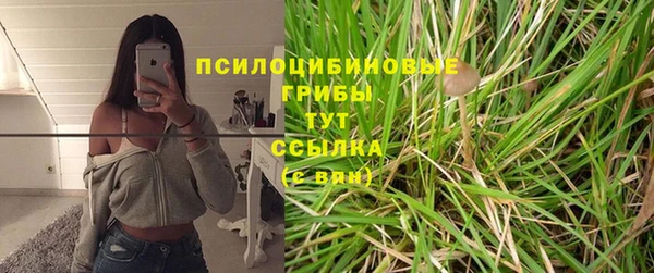 гидра Верея