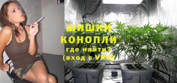 гидра Верея