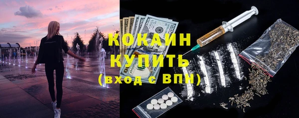 гидра Верея